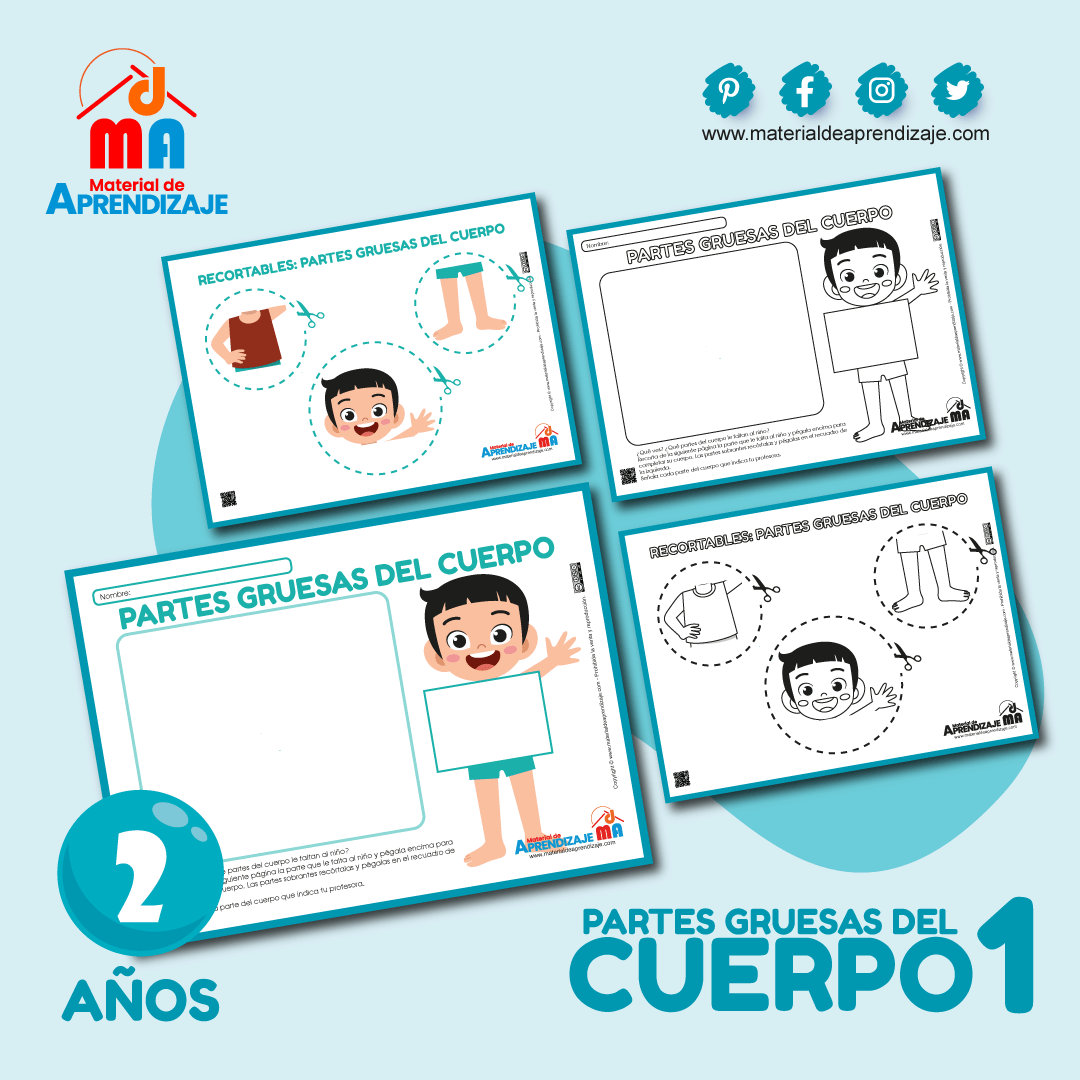Partes gruesas del cuerpo 2 años – Ficha 1