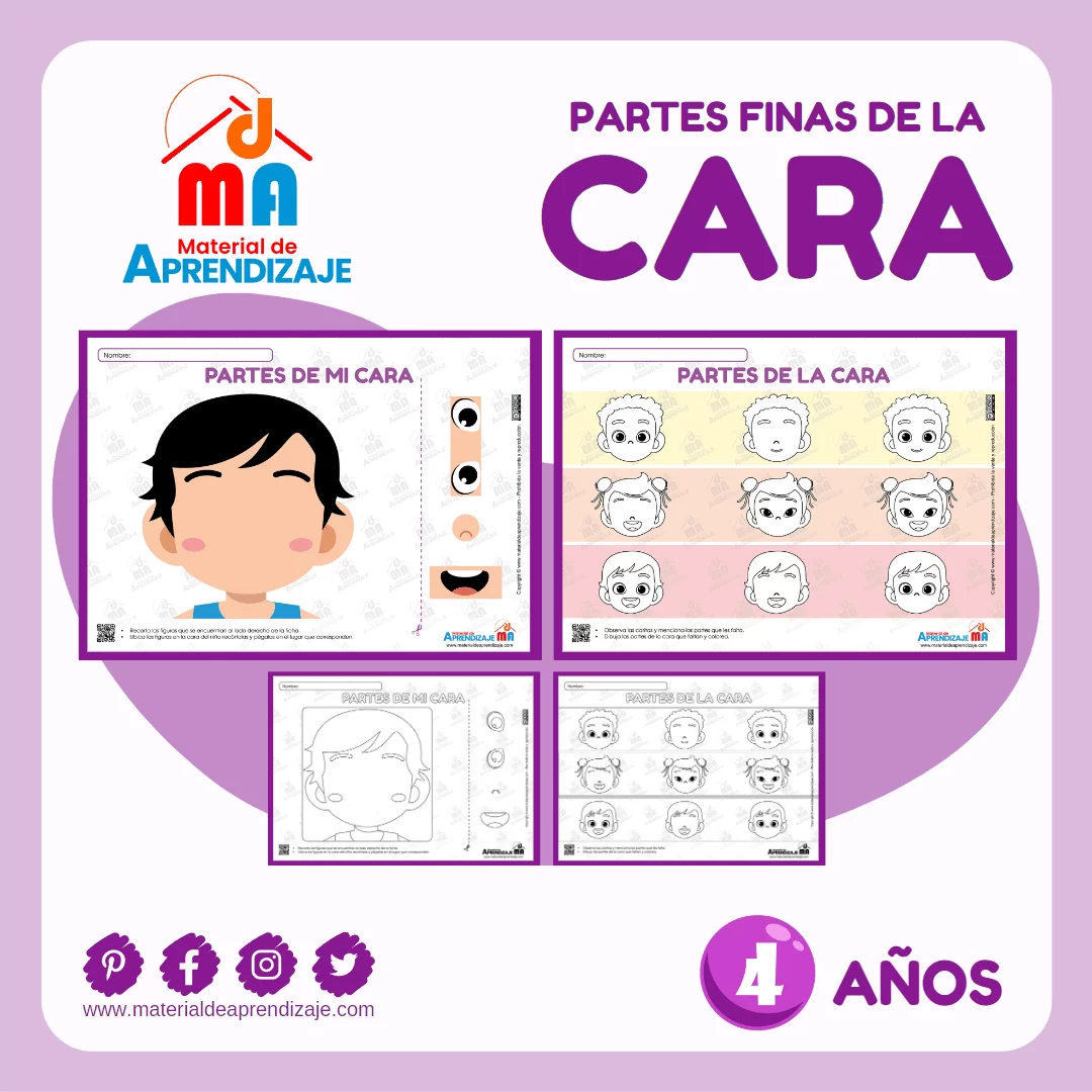 Las Partes de la Cara: Ficha Imprimible para Niños de 4 Años