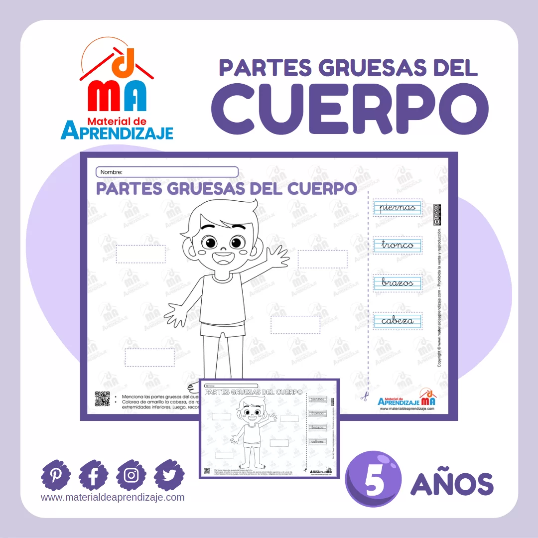 Las Partes del Cuerpo: Ficha Imprimible para Niños de 5 Años