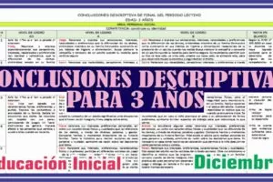 CONCLUSIONES DESCRIPTIVAS PARA 3 AÑOS- MES DICIEMBRE