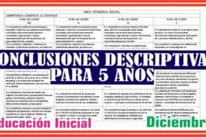 CONCLUSIONES DESCRIPTIVAS PARA 5 AÑOS- MES DICIEMBRE