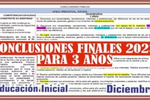 CONCLUSIONES FINALES PARA 3 AÑOS 2023