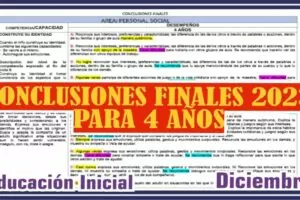 CONCLUSIONES FINALES PARA 4 AÑOS 2023