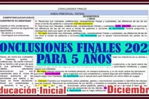 CONCLUSIONES FINALES PARA 5 AÑOS 2023