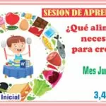 SESION DE APRENDIZAJE «Que alimentos necesito para crecer» para Inicial- Mes Junio