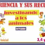 Experiencia y sus RECURSOS «Investigando a los animales» para 3,4 y 5 años